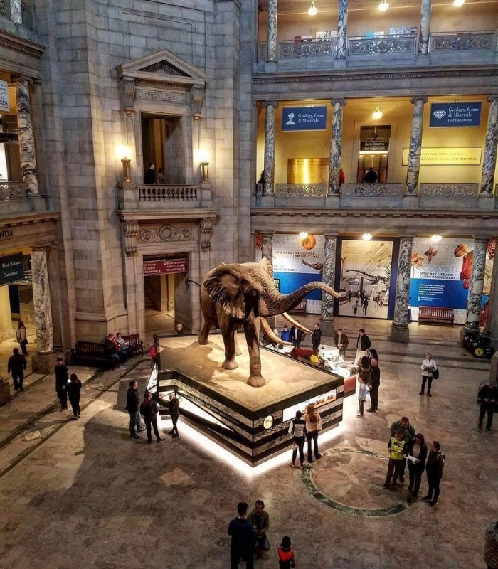 Tham quan hệ thống bảo tàng Smithsonian. Ảnh: visittheusa