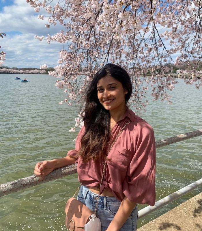 National Cherry Blossom Festival. Ảnh: aditii.travels