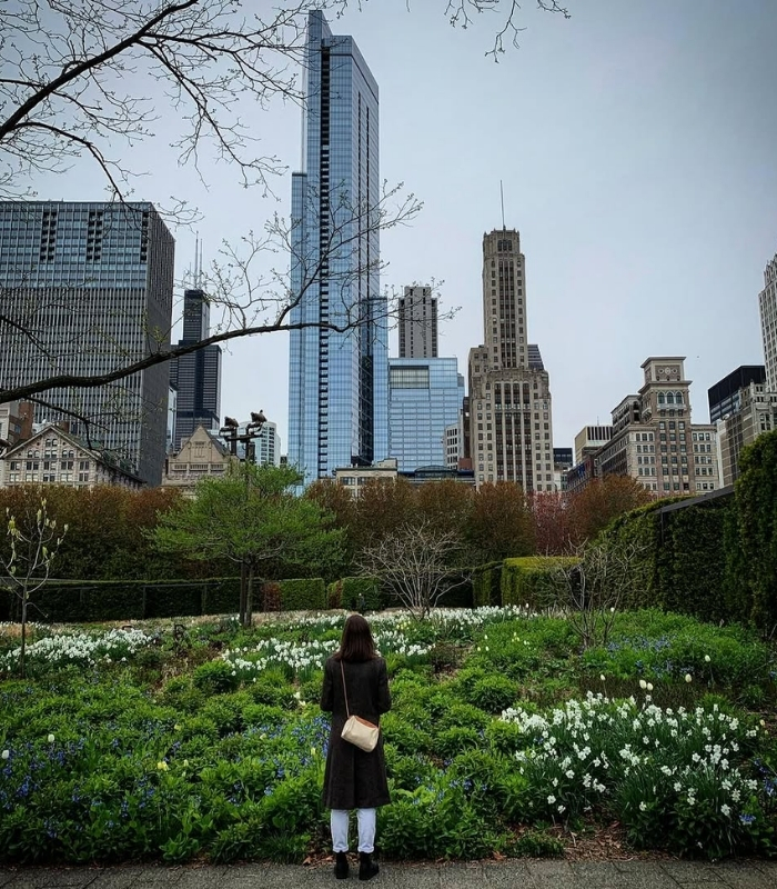 Lurie Garden là khu vườn nghệ thuật xanh mát. Ảnh: revelandhearten