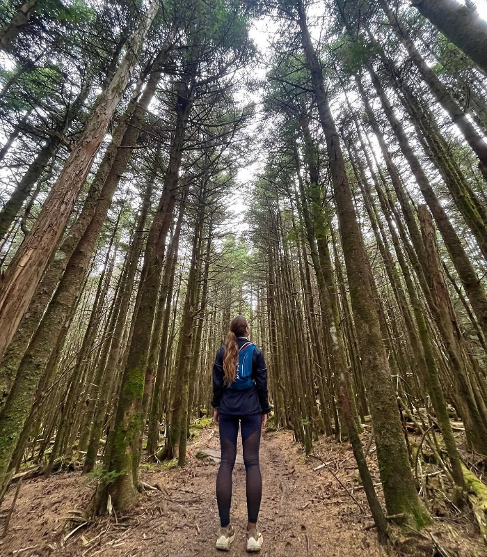 Cắm Trại Giữa Núi Rừng. Ảnh: emhikin