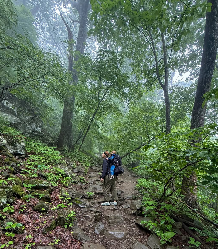 Appalachian Trail. Ảnh: torexplores_